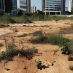 Terreno urbano no Brasil ilustrando custo de carregamento e análise IPCA versus CDI