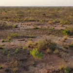 Terreno rural brasileiro para cálculo de margem de segurança e TIR em análise financeira
