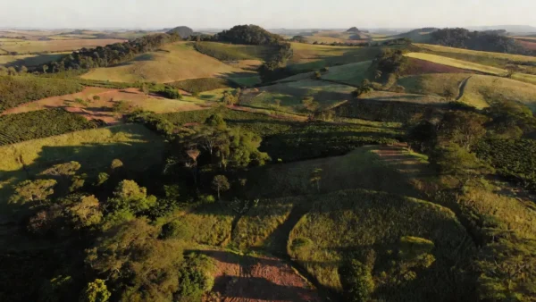 Vista aérea de terreno rural em São Paulo para valoração de terras