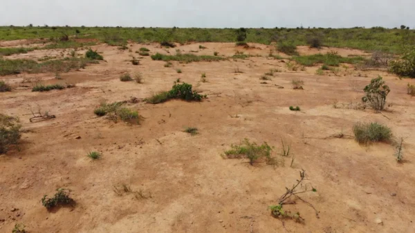 Terreno cru vazio em área urbana brasileira para análise de valor máximo