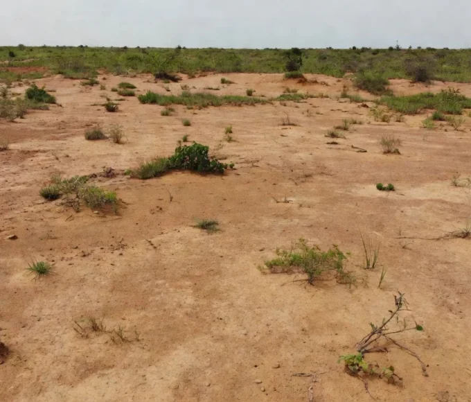 Terreno cru vazio em área urbana brasileira para análise de valor máximo